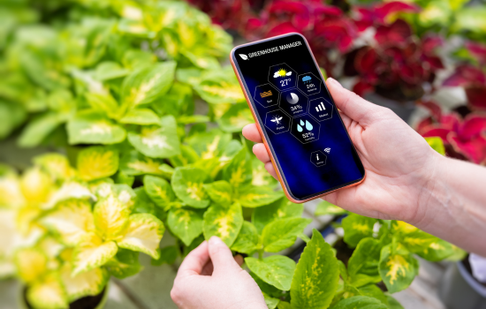 Ontdek de groene wereld: de beste apps om planten te identificeren